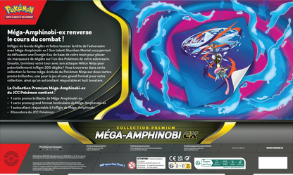 Pokémon Premium-Collection-Schachtel Rückseite mit Textfeld und Mega-Amphinobi ex Grafik