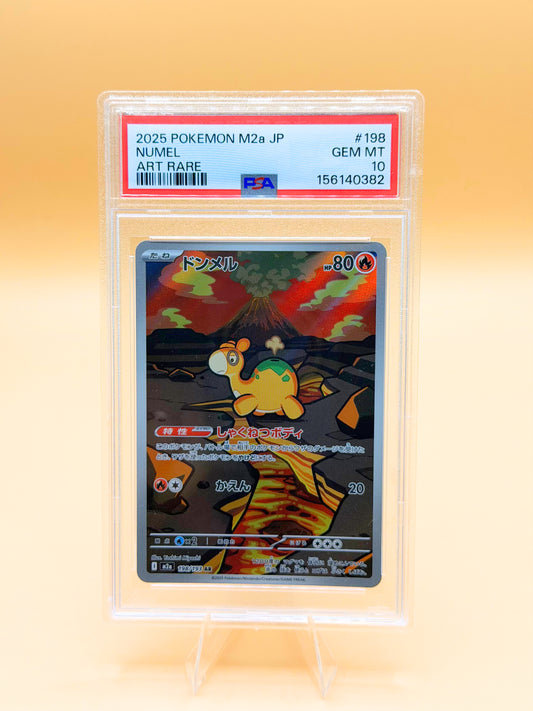 PSA 10 Numel Art Rare Pokémon-Karte in Kunststoff-Slab
